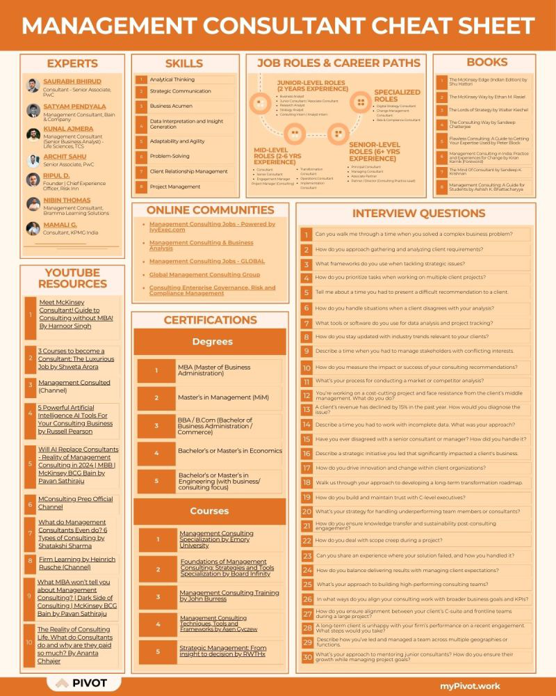 Management Consultancy Cheat Sheet resume template preview - cheat-sheets professional template
