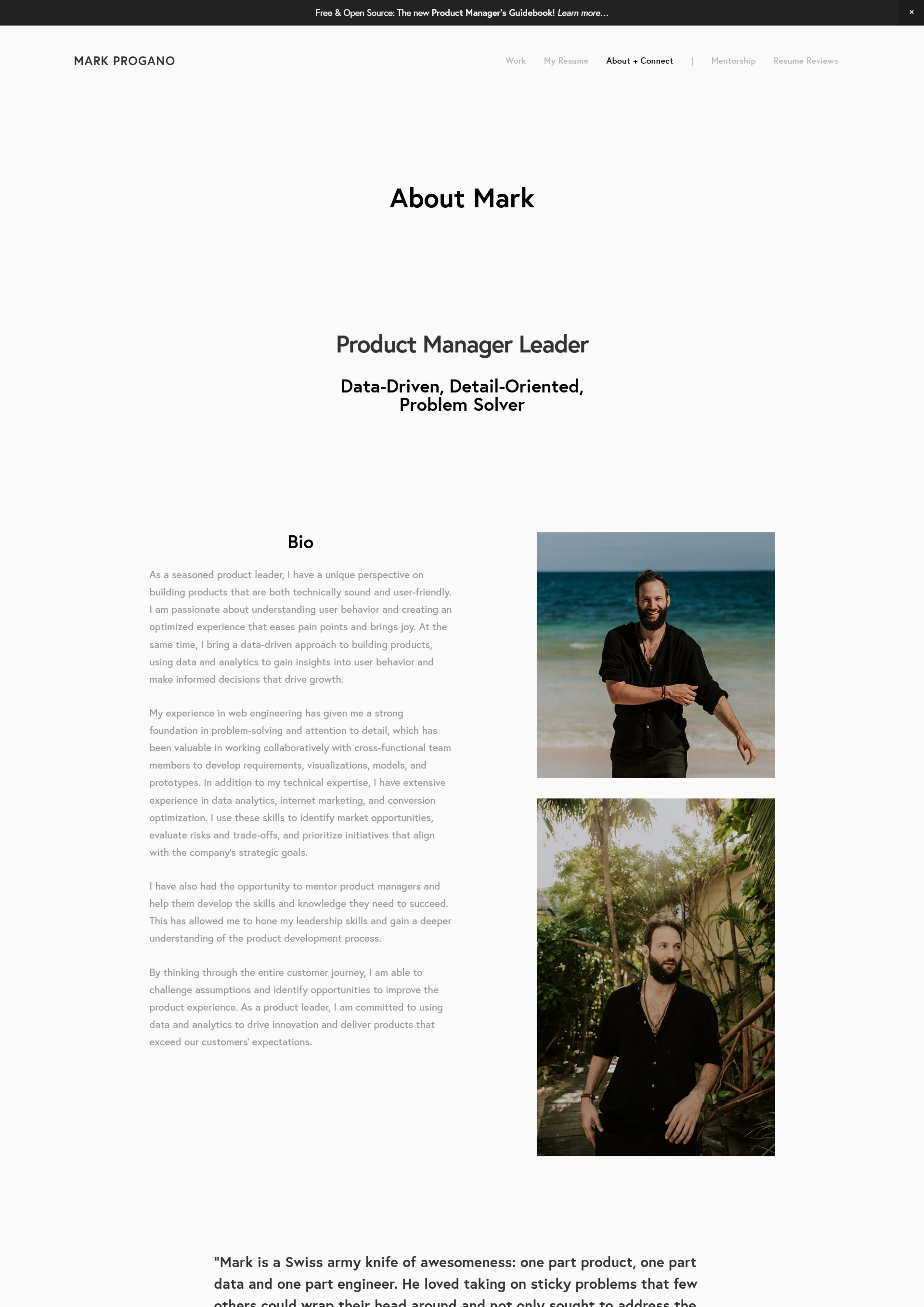Product Manager Portfolio Example resume template preview - work-portfolios professional template